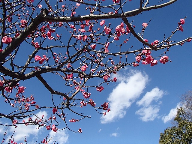 b0044663_15245844.jpg