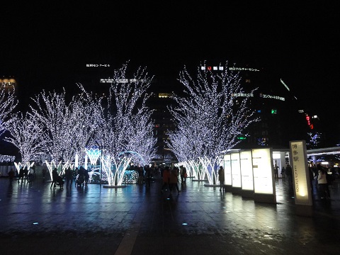 d0029363_013021.jpg
