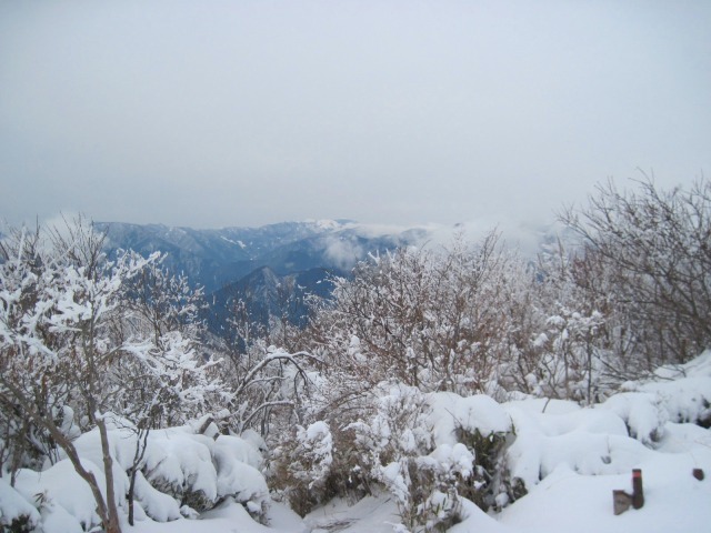 c0219866_17554149.jpg