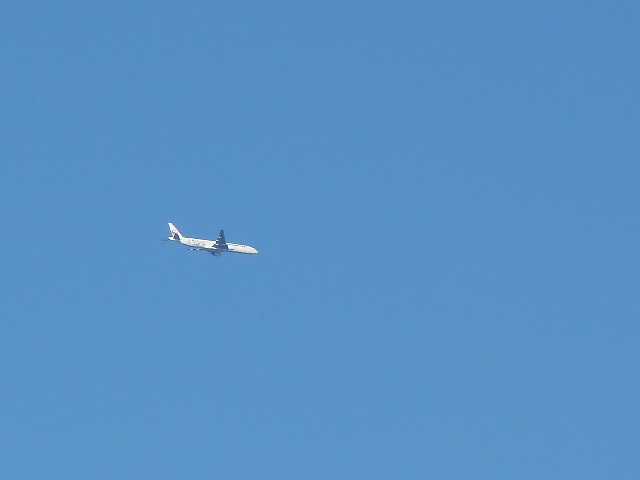e0278968_2335322.jpg