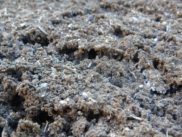e0278968_2381864.jpg