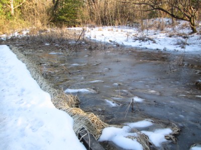c0112172_23292794.jpg