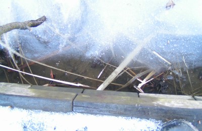c0112172_2329494.jpg