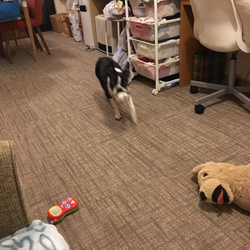 d0041575_21521306.jpeg