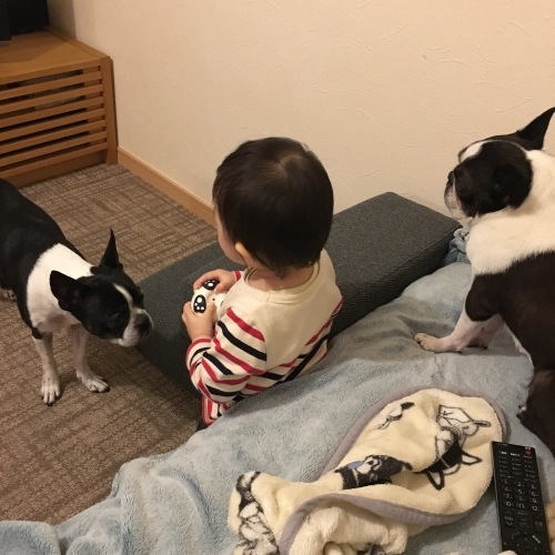 d0041575_21525529.jpeg