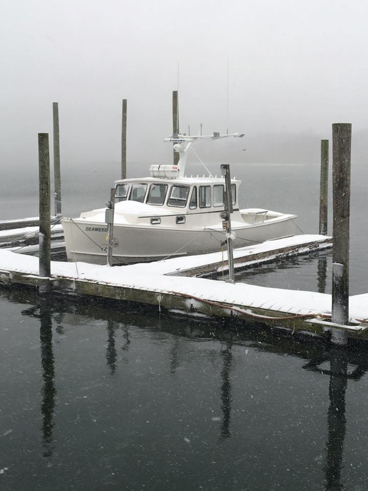 f0056476_8335125.jpg