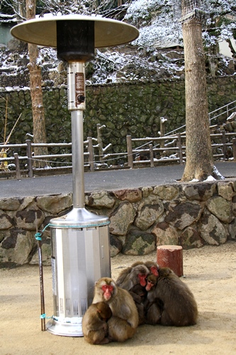 d0126577_20532456.jpg