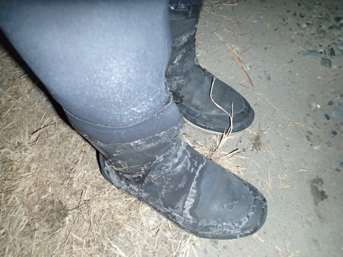 c0197578_2562232.jpg