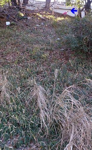 b0136381_16511723.jpg