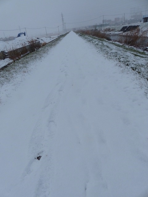 f0357487_21233484.jpg