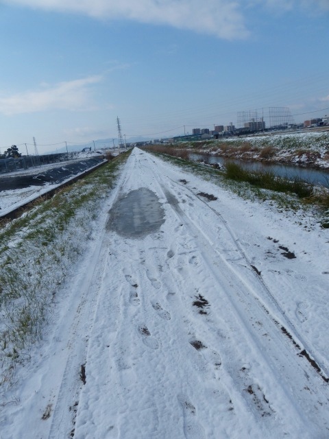 f0357487_21425135.jpg