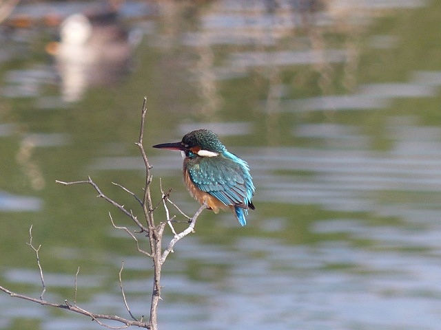 f0357487_21501566.jpg