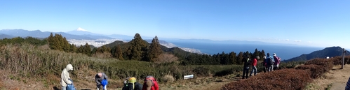 d0212491_1674498.jpg