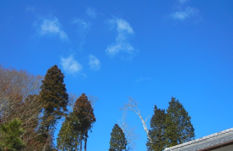 a0236300_11383710.jpg