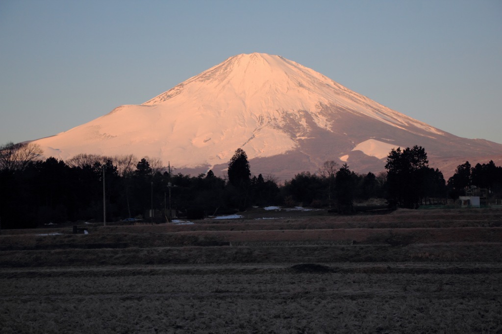a0188405_17512712.jpg