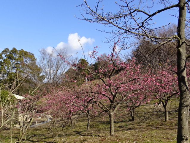 f0231709_15245366.jpg
