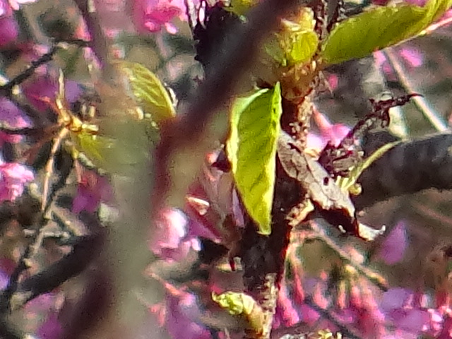 f0231709_15251244.jpg