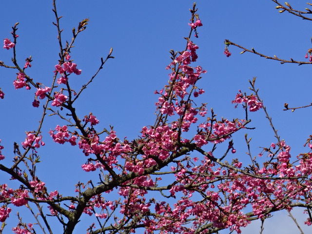 f0231709_15273234.jpg