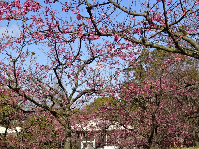 f0231709_1527463.jpg
