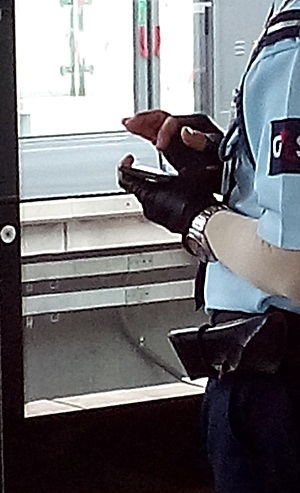 a0114521_17351792.jpg