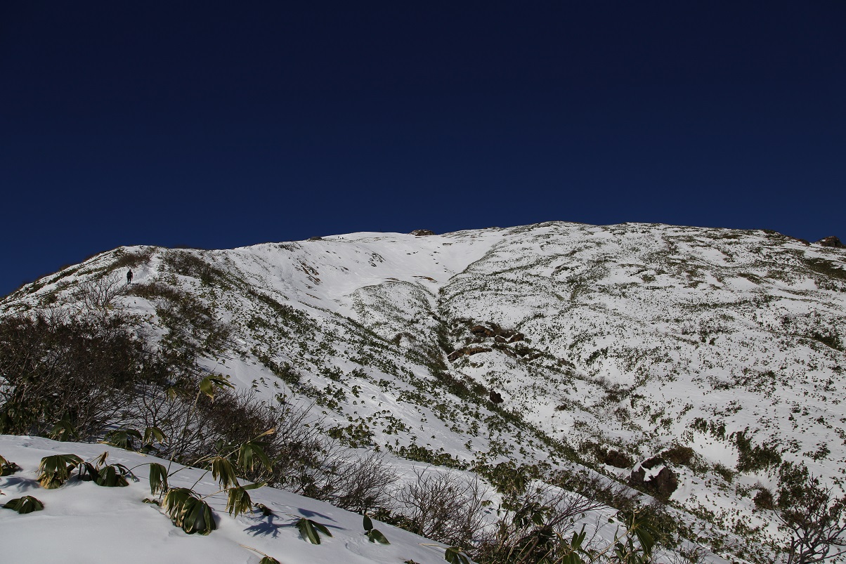 b0062024_211164.jpg