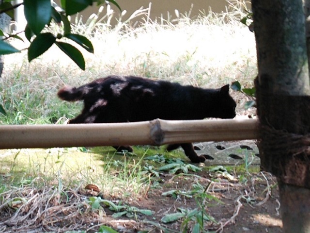 c0236527_0484643.jpg