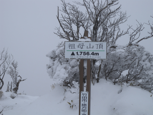 e0272335_20191686.jpg