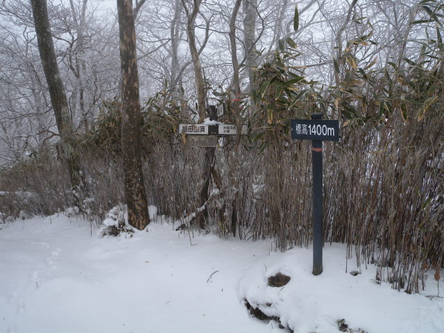 e0272335_20492540.jpg