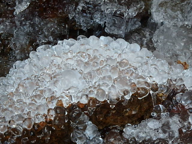 f0334143_8371749.jpg