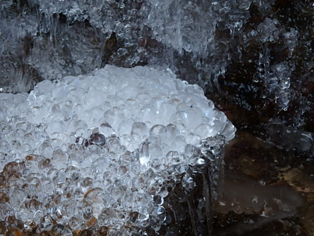 f0334143_8372646.jpg