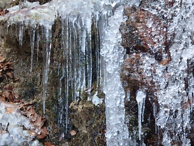 f0334143_837588.jpg