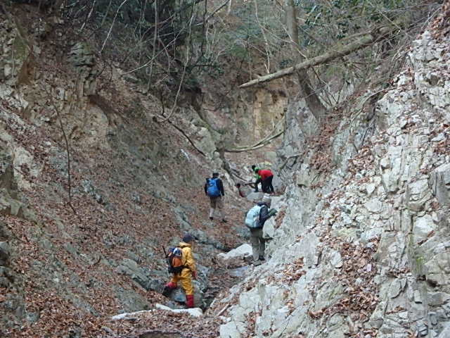 f0334143_839283.jpg