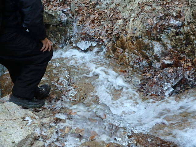 f0334143_842219.jpg