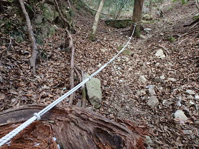 f0334143_8432949.jpg