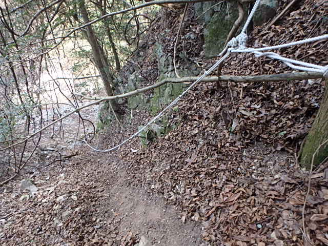 f0334143_8434117.jpg