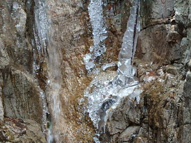 f0334143_845565.jpg