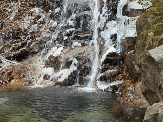 f0334143_8483380.jpg