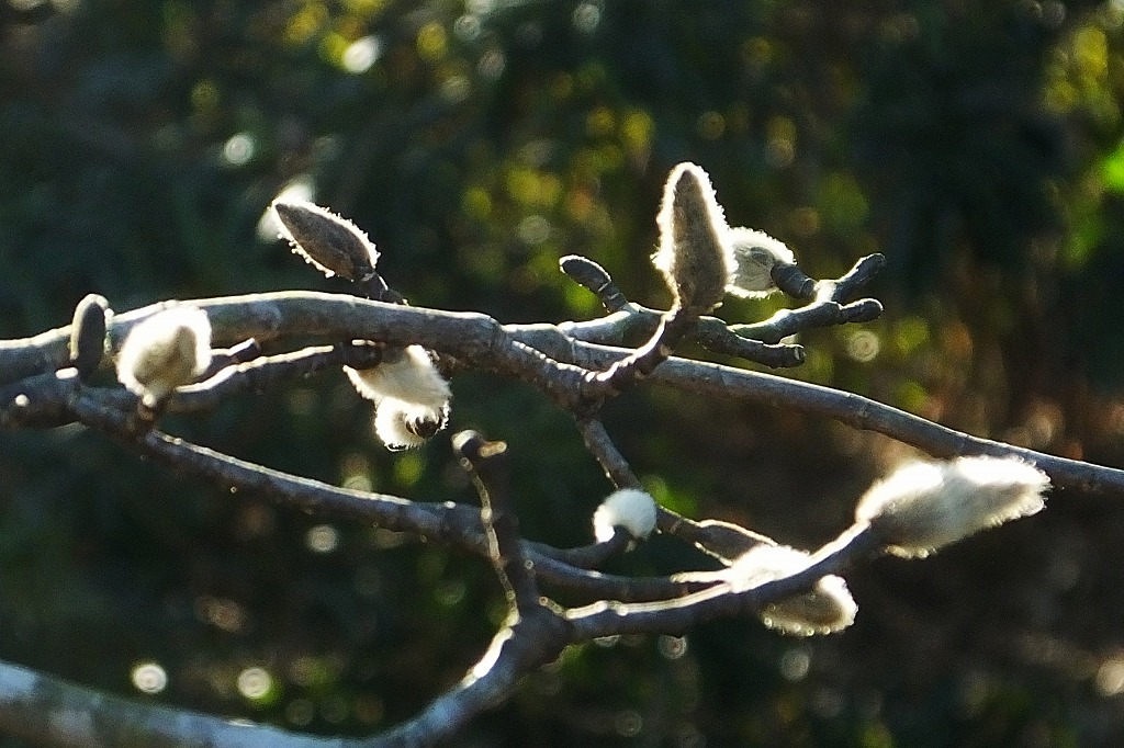 b0236251_1037714.jpg