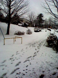f0257756_0582967.jpg