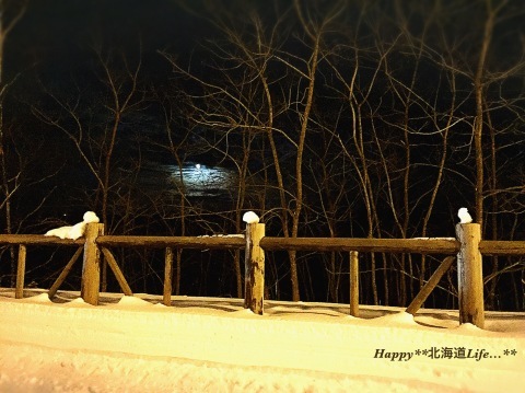 a0337860_23073699.jpeg