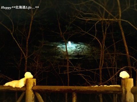 a0337860_23075276.jpeg