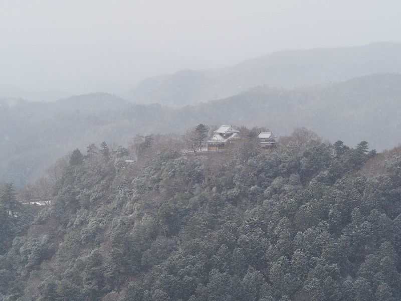 d0128465_17452373.jpg