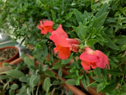 e0045768_2226167.jpg
