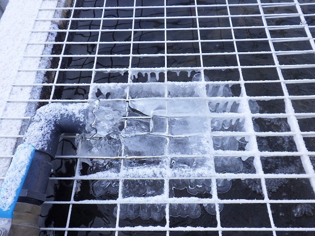 c0105569_054163.jpg