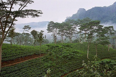 b0171771_05325548.jpg