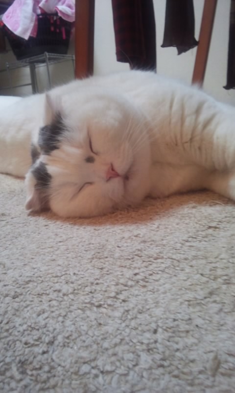 f0200871_028090.jpg