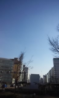 f0200871_951342.jpg