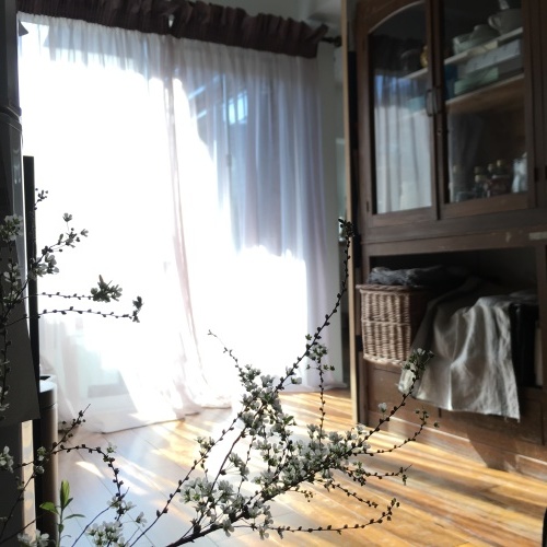 b0176275_18370598.jpeg