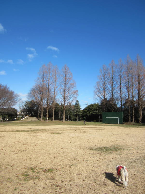 d0264176_18325522.jpg