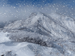 f0357487_054554.gif